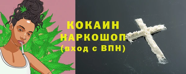дмт Инсар