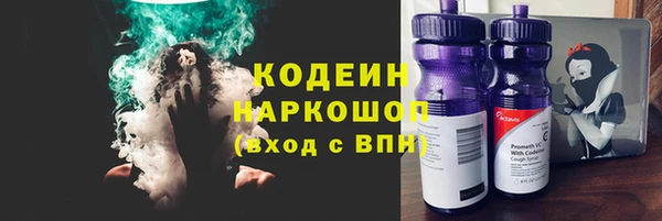 дмт Инсар