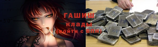 СК Инта