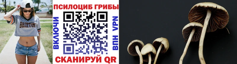 Галлюциногенные грибы мицелий  Купить где  Таруса 